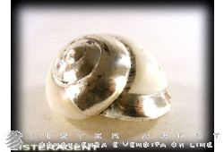 SHELL versilbert. NEU!